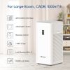 Air Purifier [Price-Limited Product]